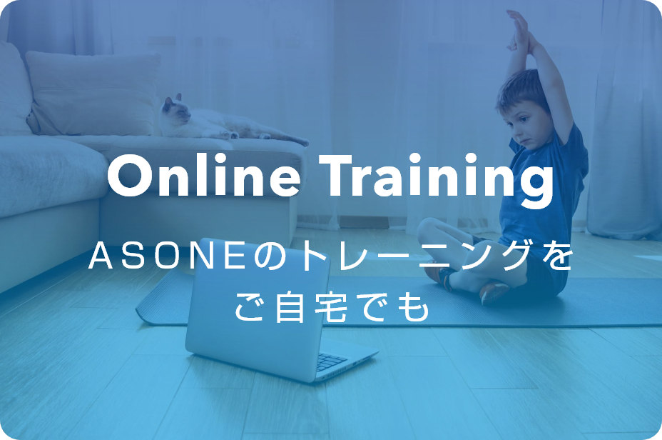 Online Training